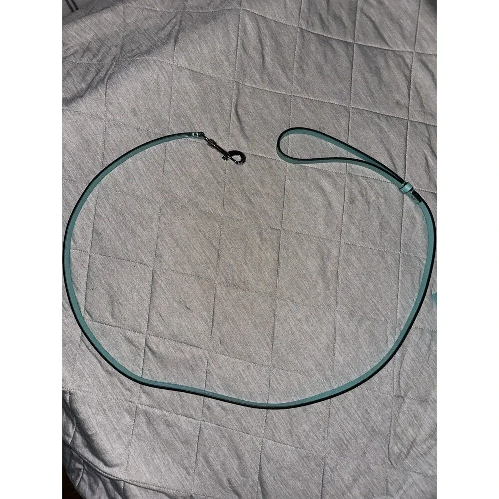 NEW Tiffany & Co Dog Collar and Leash. Sterling Silver..Size Medium